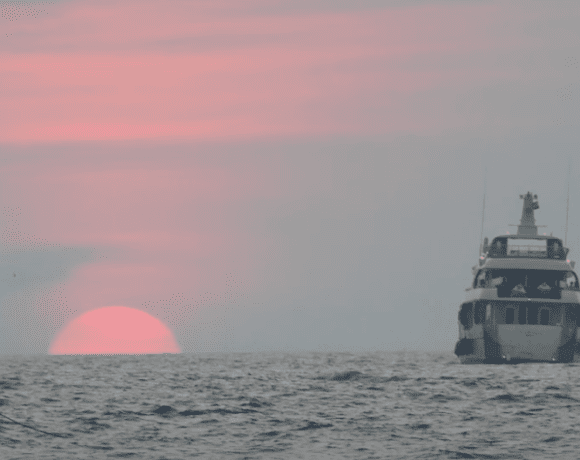 Ship sailing on the flat horizon at sunset