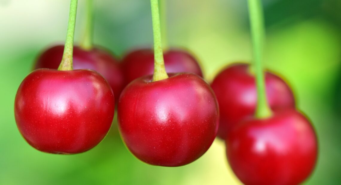 Red cherries