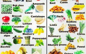 cooling food vs warming foods
