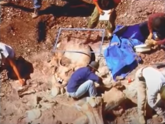Giant human beings, archaeologists discovering giant skulls picture