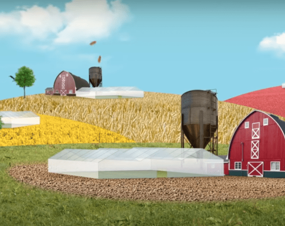 GMO Farming Animated