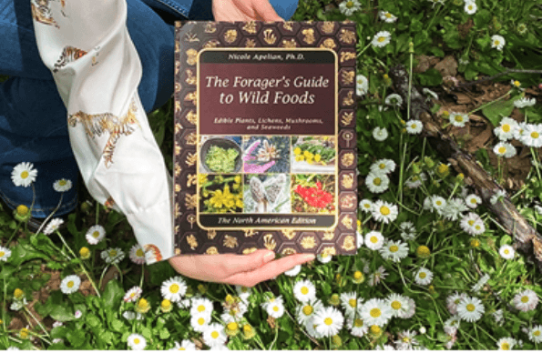 The Forager’s Guide to Wild Foods book cover