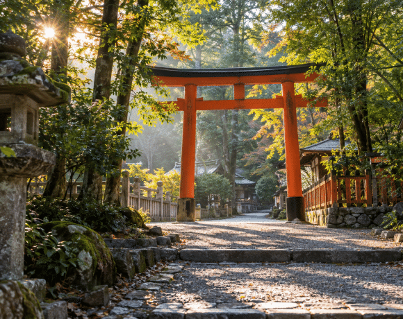 Vermilion torii gate on a wooded path with a stone lantern in morning light