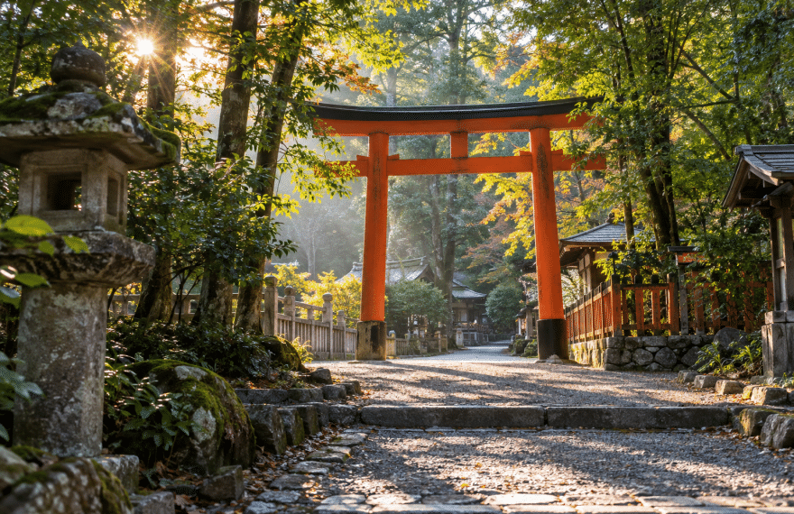 Vermilion torii gate on a wooded path with a stone lantern in morning light