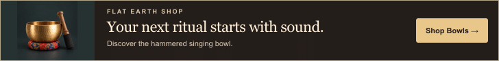 Hammered singing bowl — Shop singing bowls at Flat Earth Shop